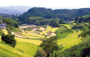 北庄の棚田