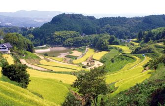北庄の棚田