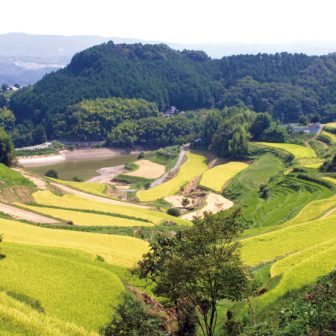 北庄の棚田