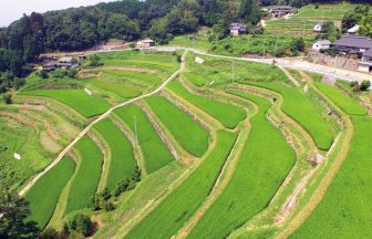 小山棚田