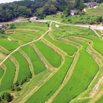小山棚田