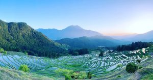 丸山千枚田