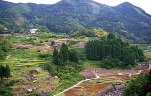 松谷棚田