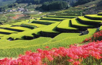鬼木の棚田