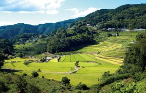 大垪和西の棚田