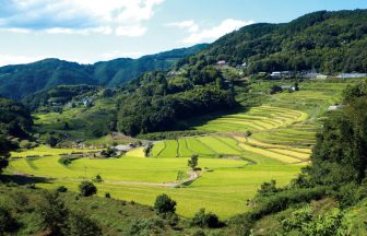 大垪和西の棚田