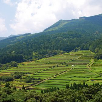 坂元棚田