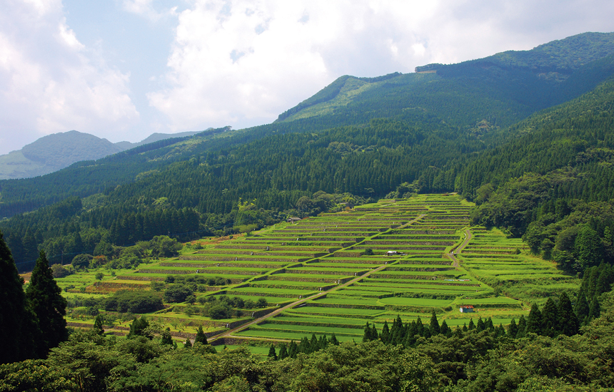 坂元棚田