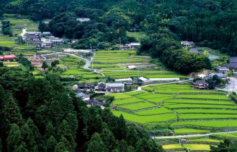 竹の棚田