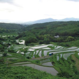 内成棚田