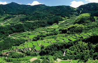 蕨野棚田