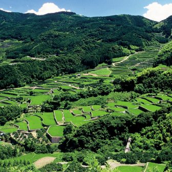蕨野棚田