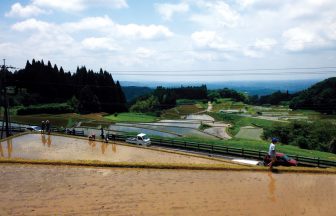 八重の棚田