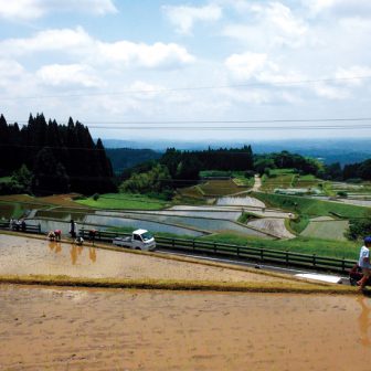 八重の棚田