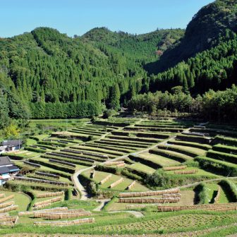 山浦早水の棚田