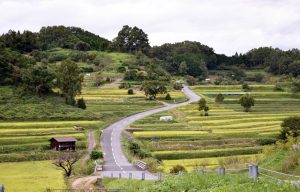 稲渕棚田1