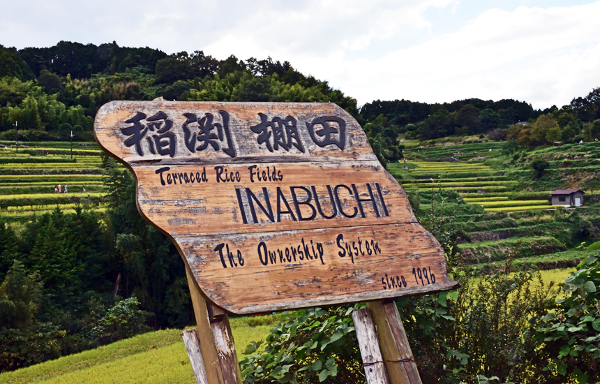 稲渕棚田