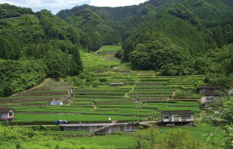鬼ノ口の棚田