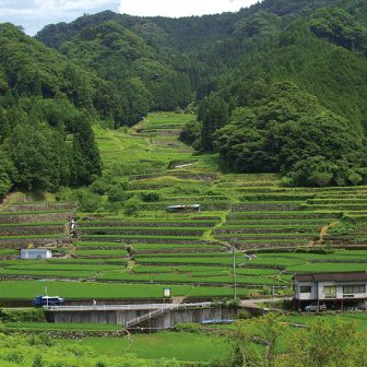 鬼ノ口の棚田