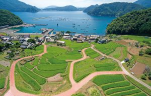 日引の棚田