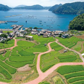 日引の棚田