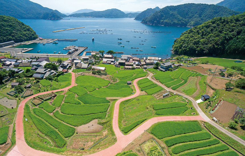 日引の棚田