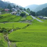 平林の棚田