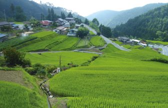平林の棚田