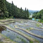 金山棚田