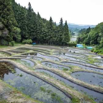 金山棚田