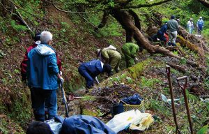 本木・早稲田棚田