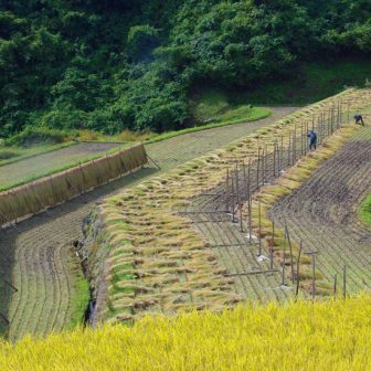 沢尻棚田