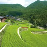 岩座神の棚田