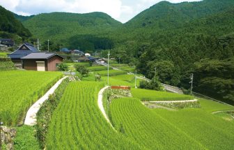 岩座神の棚田
