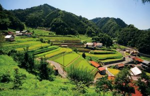 神谷の棚田