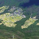 越畑・樒原の棚田