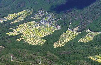 越畑・樒原の棚田