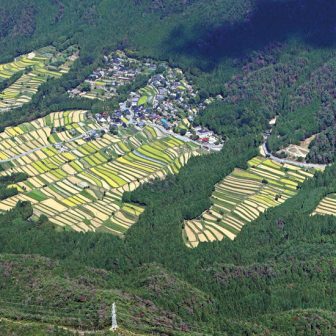 越畑・樒原の棚田
