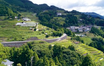 沼の棚田