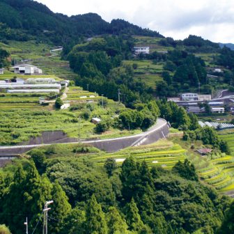 沼の棚田