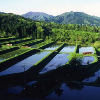 大原新田の棚田