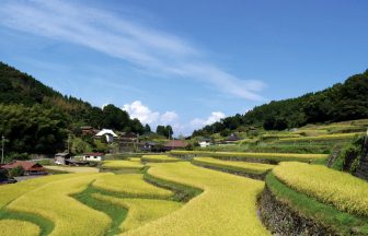 田和の棚田