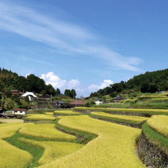 田和の棚田
