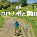 特集「コロナ禍と棚田」
