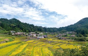 井仁の棚田