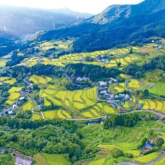 井内の棚田