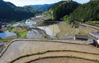 貝ノ川の棚田