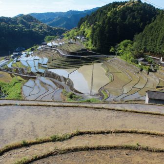 貝ノ川の棚田
