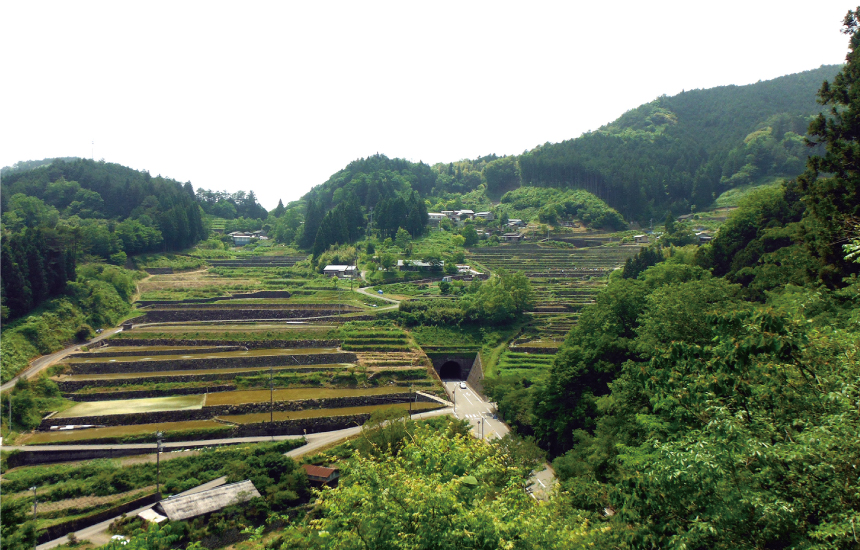 神在居の千枚田