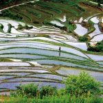 樫谷（かしだに）｜　愛媛県大洲市
